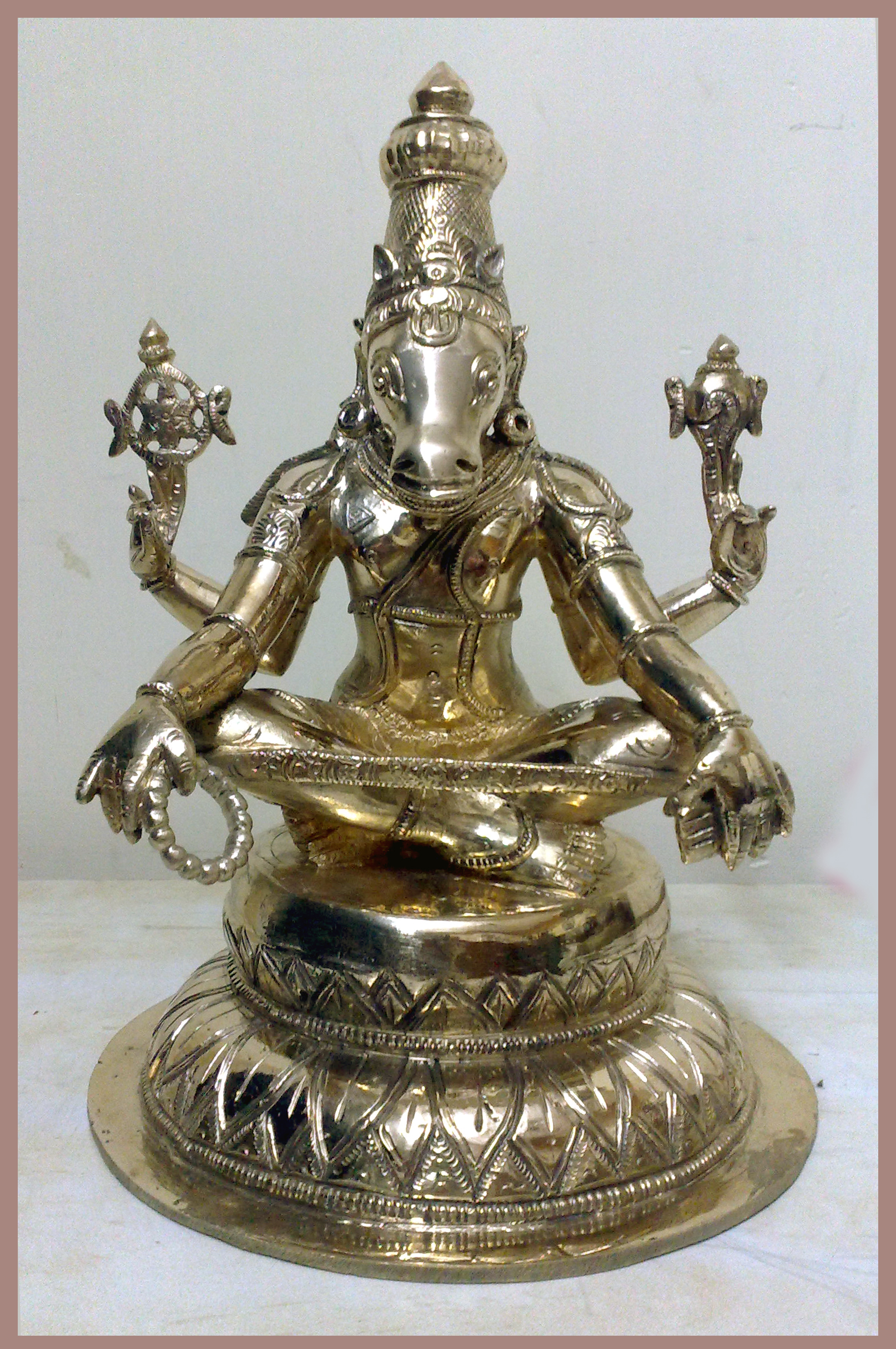 Yoga Higreava SPL Solid 11.inches Nf